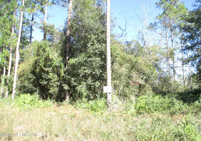 Land for sale at 0 SE 48th Avenue, Starke, FL 32091 | MLS# 2059009 | Listing updated on 2024-12-26