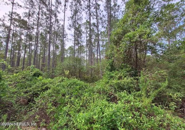 Photo 1 of Land for sale at 107 Mosswood St, Georgetown, FL 32139 | MLS# 2059838 | Listing updated on 2024-12-08