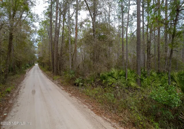 Photo 2 of Land for sale at 220 Chesser Rd, Palatka, FL 32177 | MLS# 2064754 | Listing updated on 2026-09-09