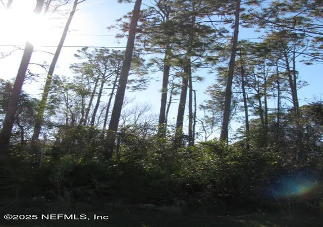 Photo 3 of Land for sale at 7 Zollinger Pl, Palm Coast, FL 32164 | MLS# 2066808 | Listing updated on 2026-02-11