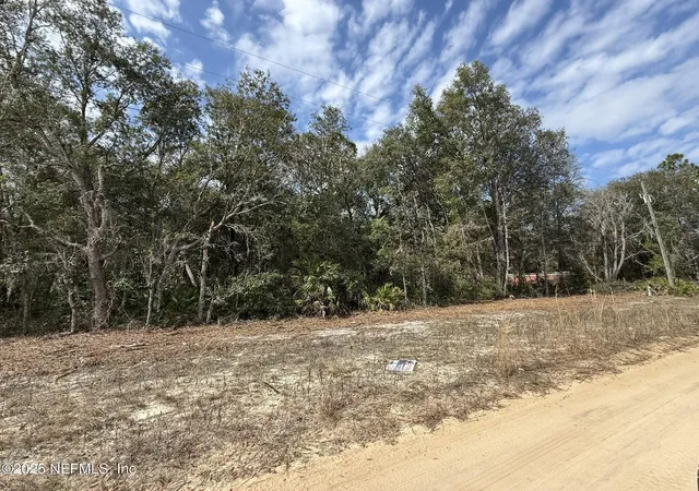 Photo 3 of Land for sale at 111 George Way, Interlachen, FL 32148 | MLS# 2069205 | Listing updated on 2026-02-26