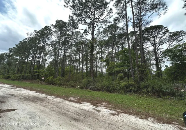 Homes for sale in Georgetown, FL | 000 Georgetown Denver Rd, Georgetown, FL 32139 | MLS# 2075248