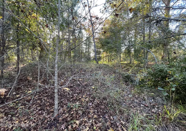 Photo 2 of Land for sale at 248 Tarpon Blvd, Palatka, FL 32177 | MLS# 2076492 | Listing updated on 2026-06-24