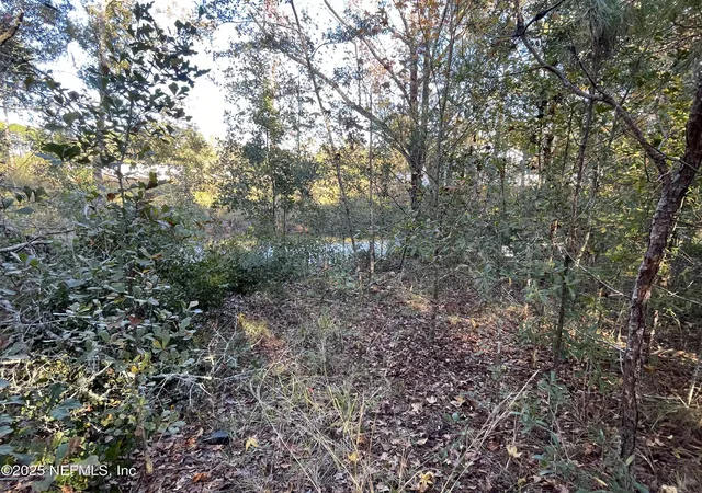 Photo 5 of Land for sale at 248 Tarpon Blvd, Palatka, FL 32177 | MLS# 2076492 | Listing updated on 2026-06-24