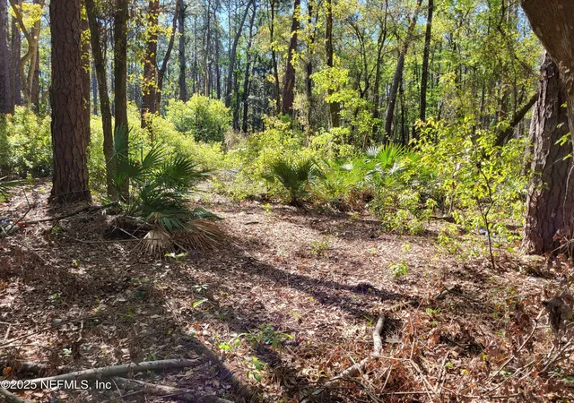 2nd image of 0 Echo St, Jacksonville, FL 32218 | MLS# 2081916