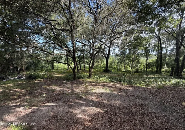 Homes for sale in Satsuma, FL | 225 Ivanhoe Dr, Satsuma, FL 32189 | MLS# 2084174