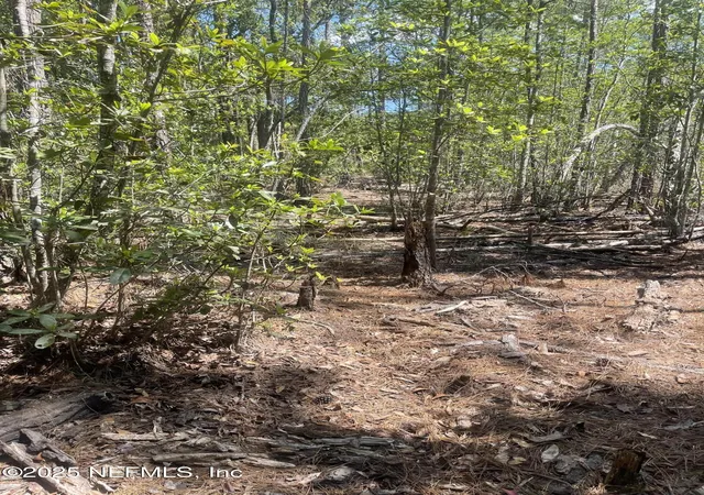 Photo 1 of Land for sale at 109 Arden St, Georgetown, FL 32139 | MLS# 2086521 | Listing updated on 2025-12-04