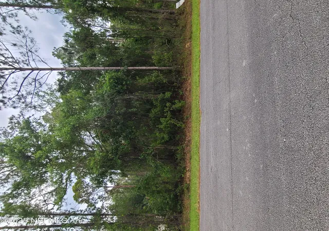Photo 3 of Land for sale at 233 Paradise Blvd, Georgetown, FL 32139 | MLS# 2088555 | Listing updated on 2026-09-14