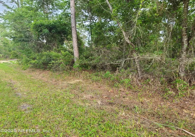 Photo 4 of Land for sale at 233 Paradise Blvd, Georgetown, FL 32139 | MLS# 2088555 | Listing updated on 2026-09-14