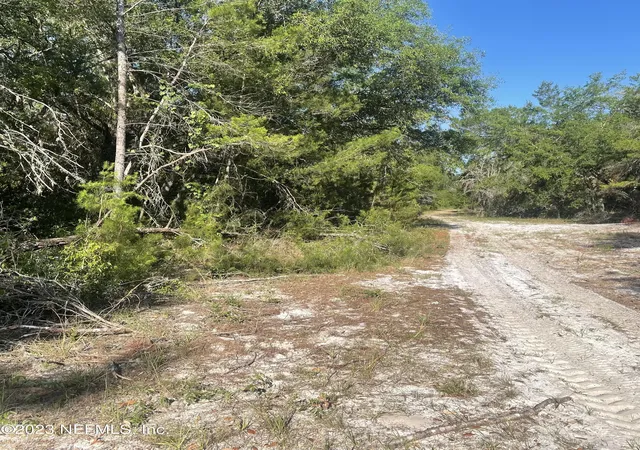 Photo 1 of Land for sale at 117 Waites Dr, Florahome, FL 32140 | MLS# 2088682 | Listing updated on 2026-04-03