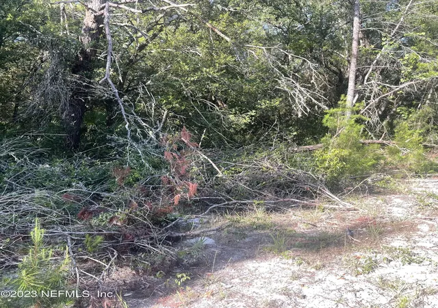 Photo 4 of Land for sale at 117 Waites Dr, Florahome, FL 32140 | MLS# 2088682 | Listing updated on 2026-04-03