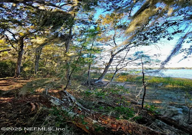 Photo 4 of Land for sale at 0 Barnwell Rd, Fernandina Beach, FL 32034 | MLS# 2089320 | Listing updated on 2026-06-04