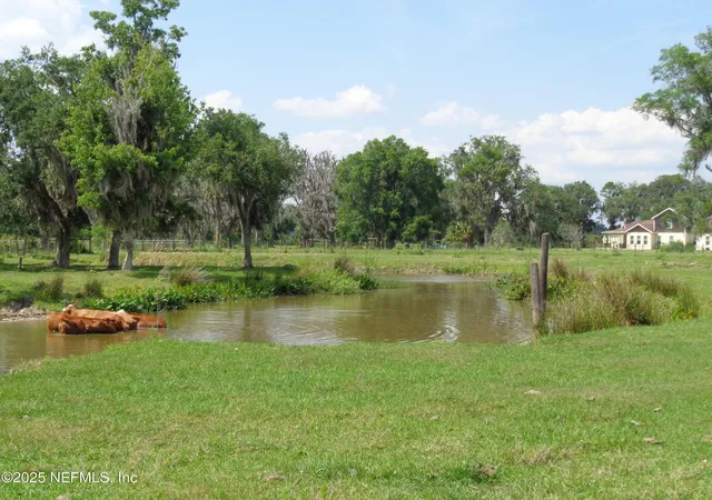 4th image of Tbd Barrel Factory Rd, Hastings, FL 32145 | MLS# 2088773