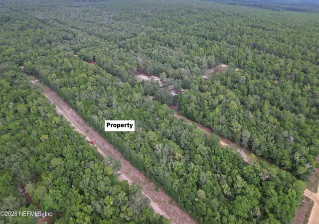 Photo 4 of Land for sale at 0000 Gloria, Florahome, FL 32140 | MLS# 2089858 | Listing updated on 2026-05-31