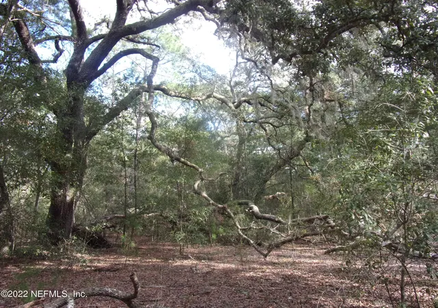 1st image of 0 S County Road 315, Interlachen, FL 32148 | MLS# 2092627