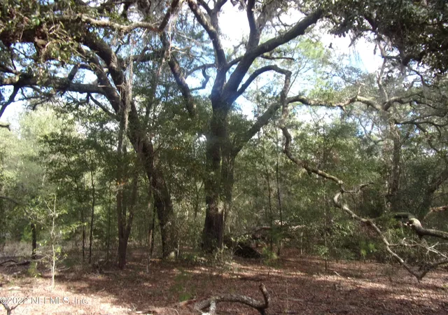 2nd image of 0 S County Road 315, Interlachen, FL 32148 | MLS# 2092627
