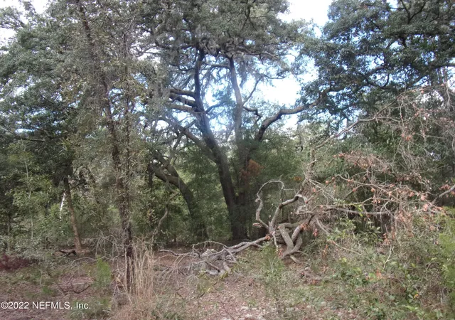 3rd image of 0 S County Road 315, Interlachen, FL 32148 | MLS# 2092627