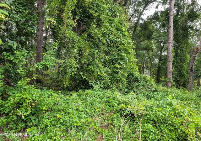Photo 2 of Land for sale at 00 Southeast 1st Ave, Keystone Heights, FL 32656 | MLS# 2093980 | Listing updated on 2026-08-27