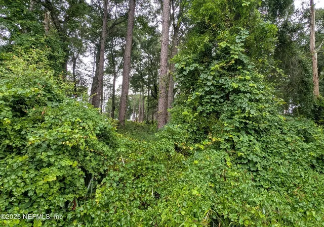Photo 3 of Land for sale at 00 Southeast 1st Ave, Keystone Heights, FL 32656 | MLS# 2093980 | Listing updated on 2026-08-27