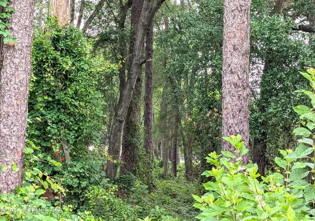 Photo 3 of Land for sale at 00 Southeast 1st Ave, Keystone Heights, FL 32656 | MLS# 2093980 | Listing updated on 2026-08-27