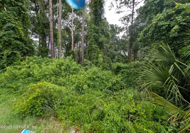 Photo 4 of Land for sale at 00 Southeast 1st Ave, Keystone Heights, FL 32656 | MLS# 2093980 | Listing updated on 2026-08-27
