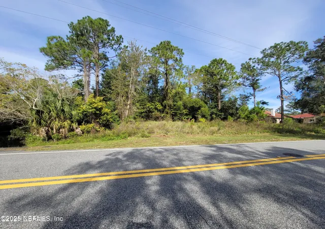 Land for sale at 309 Wellington Dr, Palm Coast, FL 32164 | MLS# 2096467