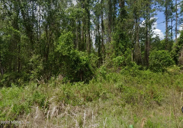 Photo 2 of Land for sale at 140 Edgemere Dr, Georgetown, FL 32139 | MLS# 2098755 | Listing updated on 2026-05-01