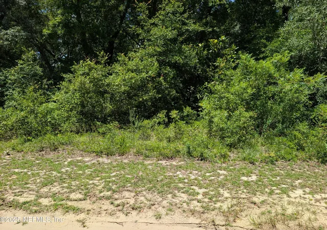 Photo 3 of Land for sale at 0 1550 Pine Rd, Interlachen, FL 32148 | MLS# 2099257 | Listing updated on 2026-07-27