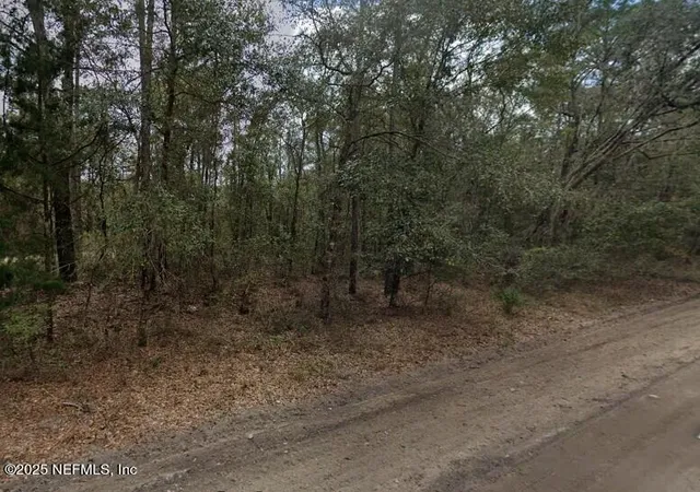 Photo 2 of Land for sale at 0 Pilchard Rd, Florahome, FL 32140 | MLS# 2101872 | Listing updated on 2026-08-12