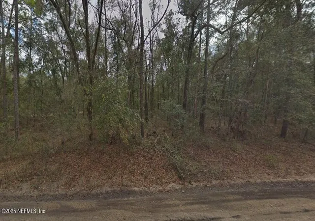 Photo 3 of Land for sale at 0 Pilchard Rd, Florahome, FL 32140 | MLS# 2101872 | Listing updated on 2026-08-12