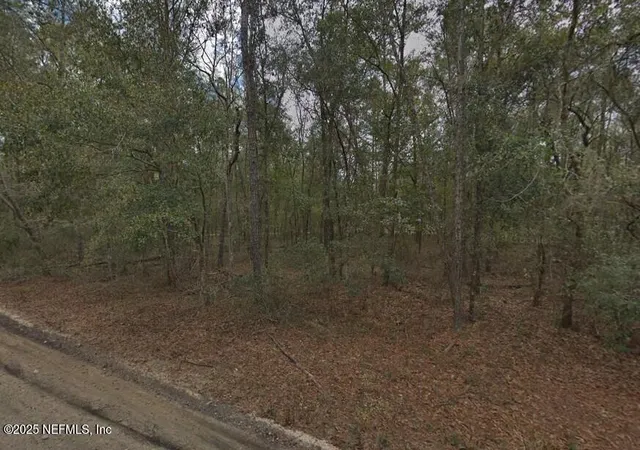 Photo 4 of Land for sale at 0 Pilchard Rd, Florahome, FL 32140 | MLS# 2101872 | Listing updated on 2026-08-12