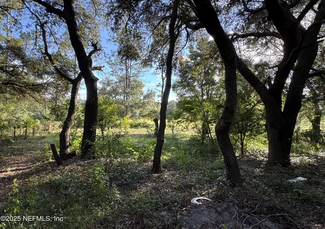 4th image of 6081 State Road 100, Keystone Heights, FL 32656 | MLS# 2105446