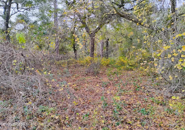 Photo 1 of Sale Pending at 103 Antler Rd, Interlachen, FL 32148 | MLS# 2107382 | Listing updated on 2026-09-28