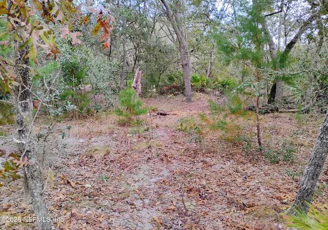 Photo 4 of Sale Pending at 244 Thompson Ave, Interlachen, FL 32148 | MLS# 2107393 | Listing updated on 2026-09-28