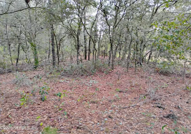 Photo 1 of Sale Pending at 309 Wilson Dr, Interlachen, FL 32148 | MLS# 2107401 | Listing updated on 2026-09-28