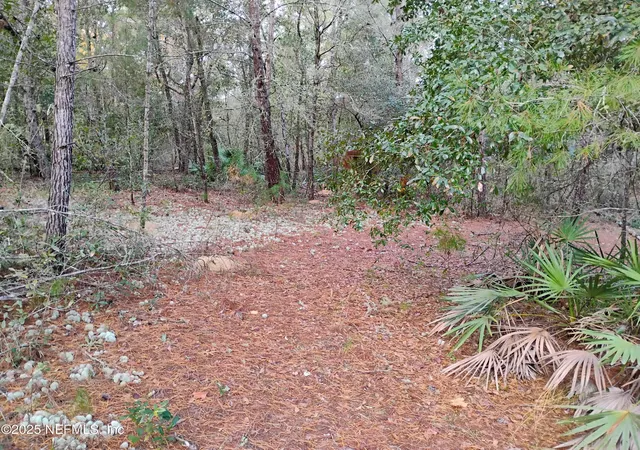 Photo 3 of Sale Pending at 309 Wilson Dr, Interlachen, FL 32148 | MLS# 2107401 | Listing updated on 2026-09-28