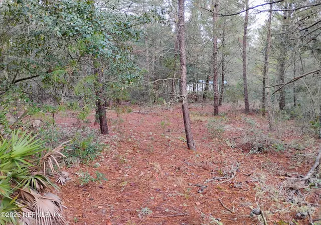 Photo 4 of Sale Pending at 309 Wilson Dr, Interlachen, FL 32148 | MLS# 2107401 | Listing updated on 2026-09-28