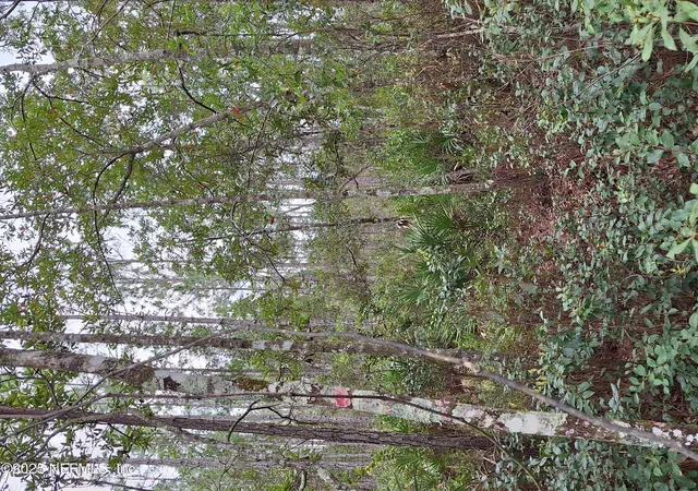 Photo 1 of Land for sale at 0 E Don Quixote St, Palatka, FL 32177 | MLS# 2108255 | Listing updated on 2025-09-11