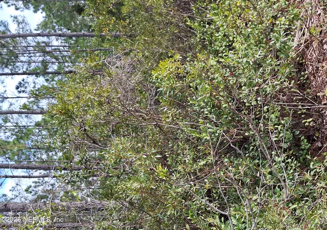 Photo 1 of Land for sale at 0 E Escambia State Rd, Palatka, FL 32177 | MLS# 2108266 | Listing updated on 2026-09-08