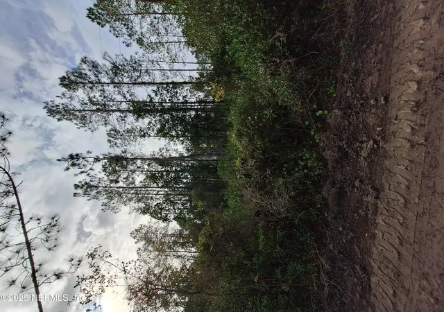 Photo 1 of Land for sale at 0 E St Johns St, Palatka, FL 32177 | MLS# 2108275 | Listing updated on 2025-09-11