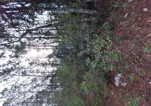 Photo 1 of Land for sale at 000 E St Johns St, Palatka, FL 32177 | MLS# 2108293 | Listing updated on 2025-09-11