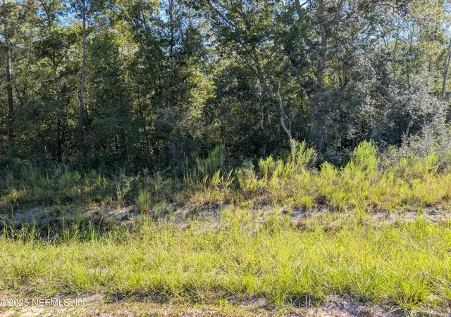 Photo 2 of Land for sale at 0010 Cordell & Boundary, Interlachen, FL 32148 | MLS# 2108847 | Listing updated on 2026-09-23