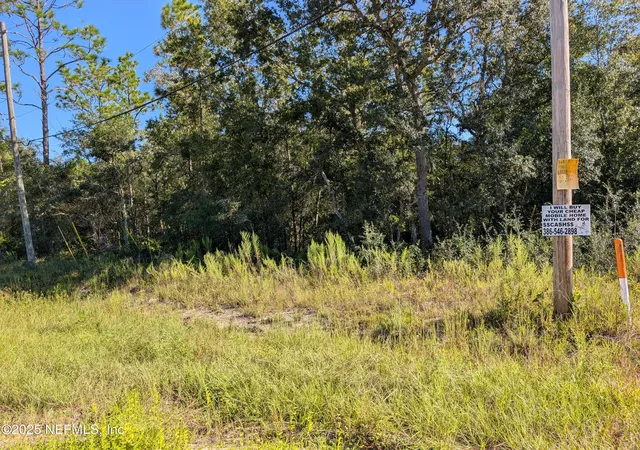 Photo 3 of Land for sale at 0010 Cordell & Boundary, Interlachen, FL 32148 | MLS# 2108847 | Listing updated on 2026-09-23