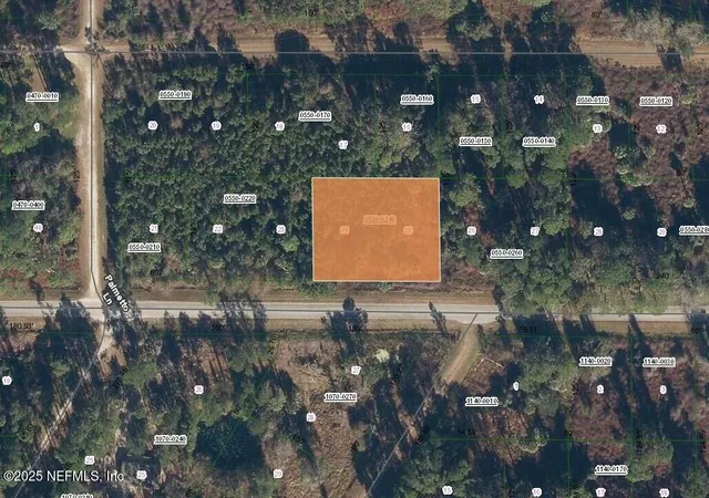 Photo 1 of Land for sale at 806 Paradise Blvd, Georgetown, FL 32139 | MLS# 2108959 | Listing updated on 2026-10-14