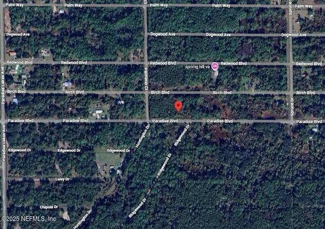 Photo 3 of Land for sale at 806 Paradise Blvd, Georgetown, FL 32139 | MLS# 2108959 | Listing updated on 2026-10-14