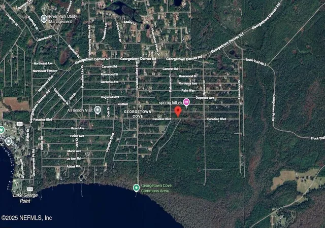 Photo 3 of Land for sale at 806 Paradise Blvd, Georgetown, FL 32139 | MLS# 2108959 | Listing updated on 2026-10-14