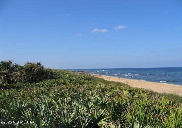 Homes for sale in Palm Coast, FL | 265 Underwood Trl, Palm Coast, FL 32164 | MLS# 2109312