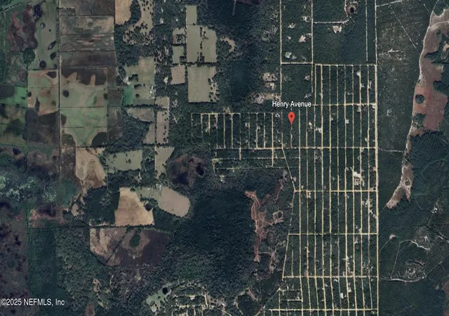 Photo 3 of Land for sale at 00 Henry Ave, Interlachen, FL 32148 | MLS# 2110305 | Listing updated on 2026-03-23