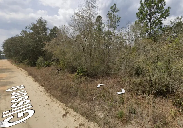 Photo 1 of Land for sale at 00 Glisson St, Interlachen, FL 32148 | MLS# 2110350 | Listing updated on 2026-03-23