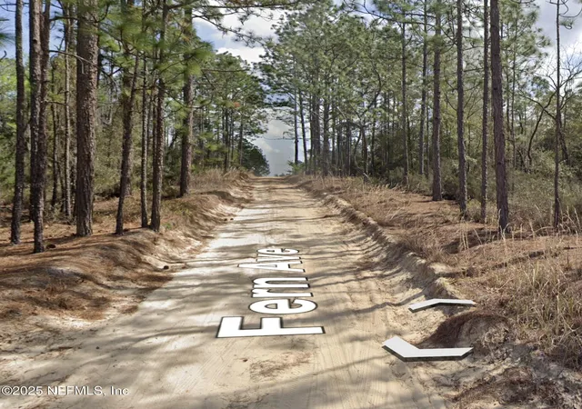 Photo 1 of Land for sale at 00 Fern Ave, Interlachen, FL 32148 | MLS# 2110494 | Listing updated on 2026-03-23